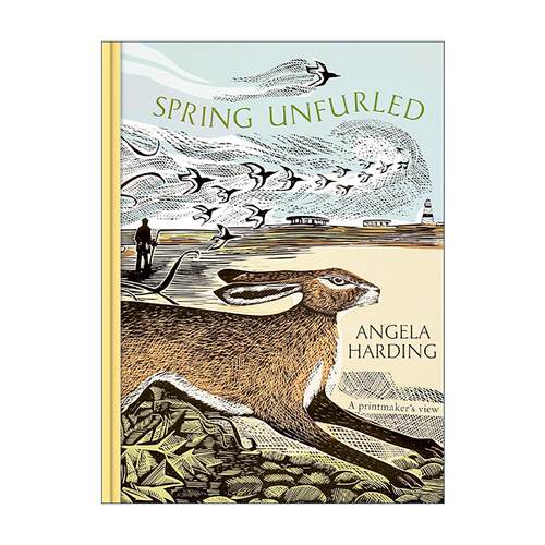 英文原版 Spring Unfurled 季节版画四部曲 春之舒展 艺术自然插画设定集精装 Angela Harding 英文版 进口英语原版书籍