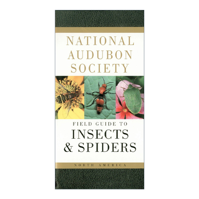 英文原版National Audubon Society Field Guide to Insects and Spiders全美奥杜邦协会北美昆虫与蜘蛛野外指南 英文版进口英语书