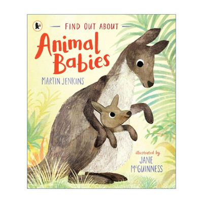 了解动物的宝宝  英文原版 Find Out About Animal Babies 儿童科普百科绘本 英文版 进口英语原版书籍