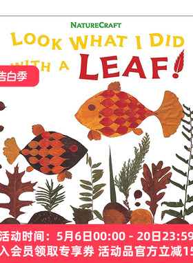 英文原版 Look What I Did with a Leaf 儿童创意树叶艺术指南 儿童创意手工绘本 Morteza E. Sohi 英文版 进口英语原版书籍