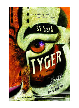 英文原版 Tyger 虎 2023英国图书奖年度图书 战斗蓝猫作者SF Said 卡内基奖提名 英文版 进口英语原版书籍