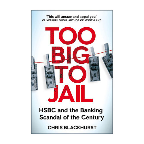 英文原版 Too Big to Jail 汇丰全球大案 大到不能进监狱 英文版 进口英语原版书籍