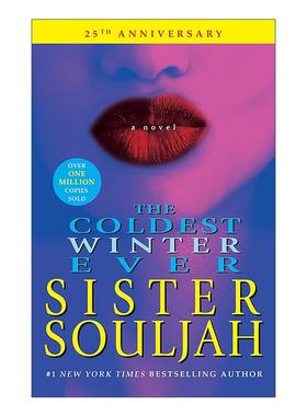 英文原版 The Coldest Winter Ever 寒冷的冬天 英文版 进口英语原版书籍