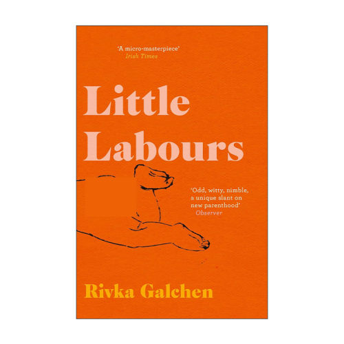 英文原版 Little Labours 小孕妇 里夫卡·加尔琴 女性小说 英文版 进口英语原版书籍