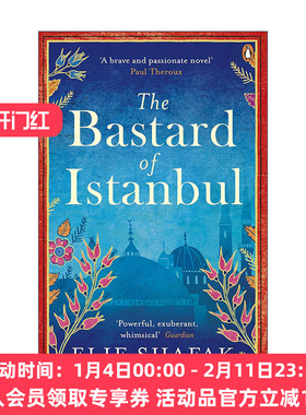 英文原版 The Bastard of Istanbul 伊斯坦布尔孤儿 埃利芙·沙法克小说 英文版 进口英语原版书籍
