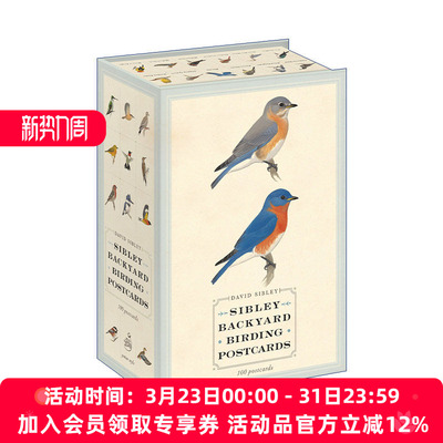 西布利鸟类明信片 英文原版 Sibley Backyard Birding Postcards 观鸟指南 David Sibley 英文版 进口英语原版书籍