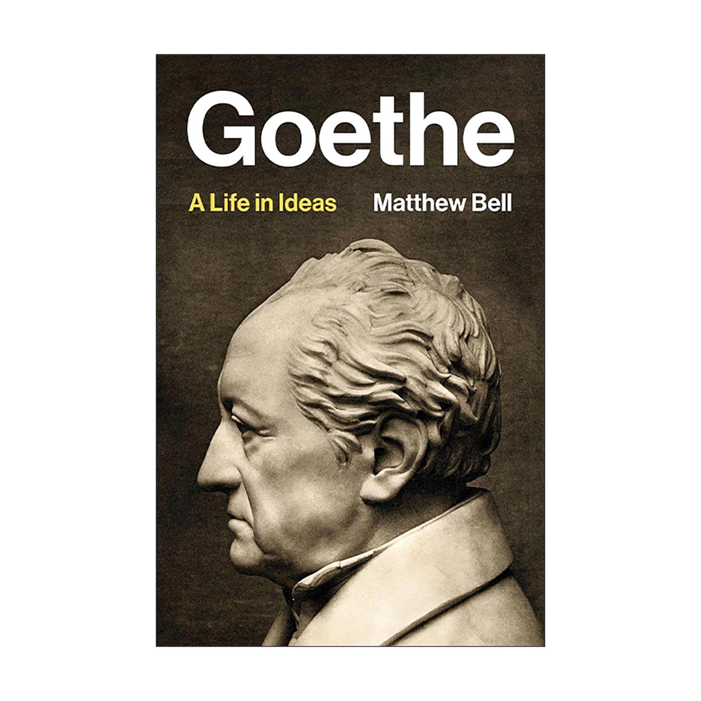 英文原版 Goethe 歌德 思想中的一生 哲学家传记 普林斯顿 精装 英文版 进口英语原版书籍