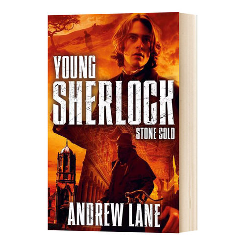 英文原版 Stone Cold Young Sherlock Holmes 少年福尔摩斯7 逻辑推理 青少年章节桥梁书 安德鲁莱恩 英文版