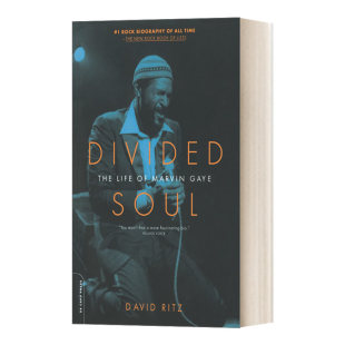 英文原版 Divided Soul 马文·盖伊传记 英文版 进口英语原版书籍