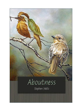 英文原版 Aboutness Carl G. Hempel Lecture Series  3 所言之事 语义学 语言哲学 精装 Stephen Yablo英文版 进口英语原版书籍