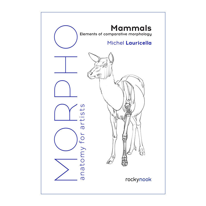 英文原版 Morpho Mammals 艺用人体结构 哺乳动物 比较形态学的要素 绘画指南 英文版 进口英语原版书籍