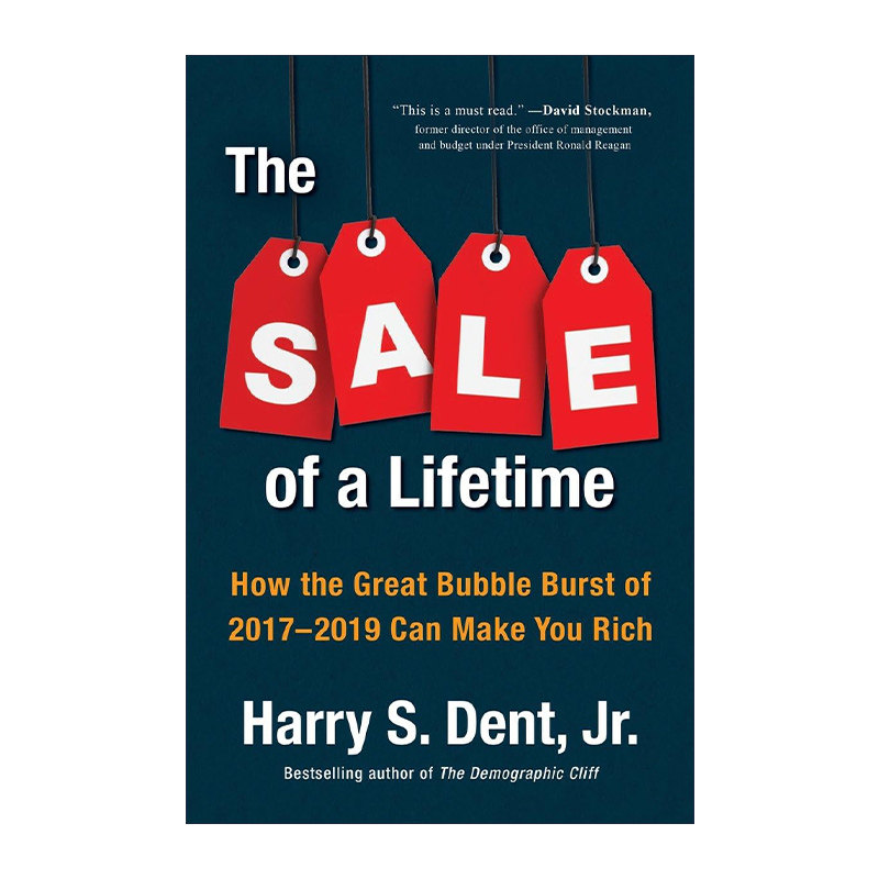 英文原版 The Sale of a Lifetime 一生的买卖 2017-2019年的经济泡沫破裂如何让你变得富有 精装 英文版 进口英语原版书籍