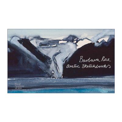 英文原版 Barbara Rae Arctic Sketchbooks 芭芭拉·雷 北极 RA水彩速写本精装 英文版 进口英语原版书籍