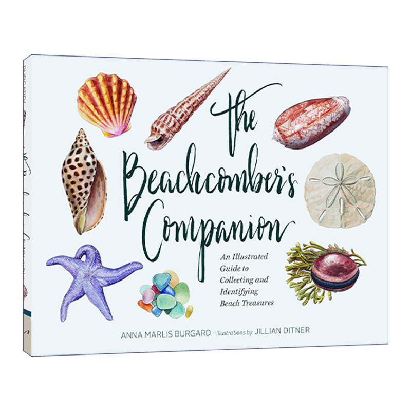 海浪伴侣  英文原版 Beachcomber's Companion 收集鉴别海滩珍宝指南 精装 英文版 进口英语原版书籍