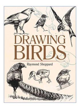 鸟类绘画指南  英文原版 Drawing Birds Dover Art Instruction 英国插画家Raymond Sheppard 英文版 进口英语原版书籍