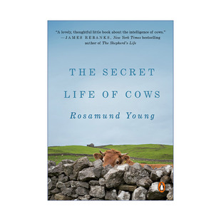 The Rosamund 英文版 书籍 奶牛 有机农业 Life 进口英语原版 Secret 动物养殖与情感探索 Cows 英文原版 Young 秘密生活