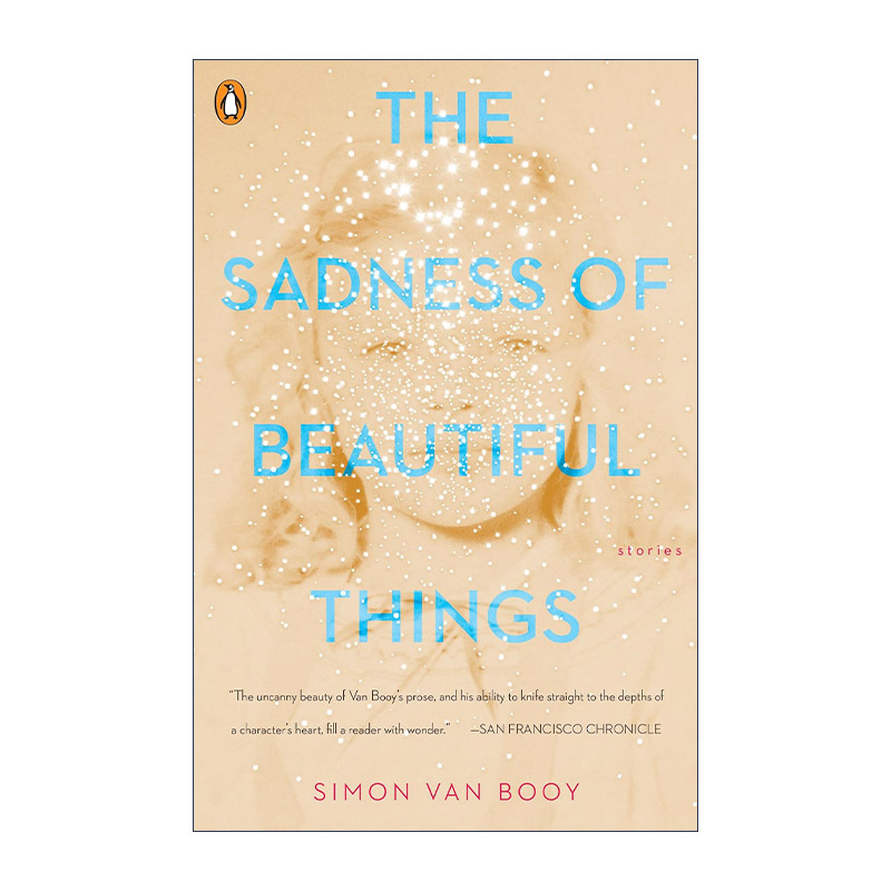 美好事物的忧伤英文原版 The Sadness of Beautiful Things Simon Van Booy英文版进口英语原版书籍