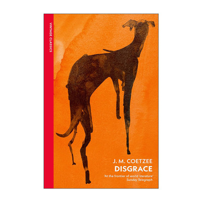 英文原版 Disgrace 耻 JM库切 企鹅Vintage红脊经典系列 英文版 进口英语原版书籍