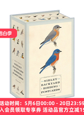 西布利鸟类明信片 英文原版 Sibley Backyard Birding Postcards 观鸟指南 David Sibley 英文版 进口英语原版书籍