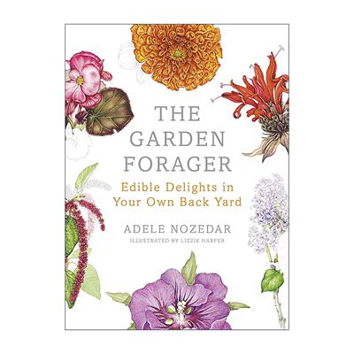 英文原版 The Garden Forager 花园采食者 重新发现身边的宝藏 精装插图 英文版 进口英语原版书籍