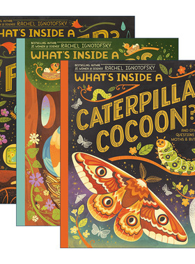 英文原版 What's Inside系列3册 儿童精装自然植物/生命/昆虫科普百科绘本 Rachel Ignotofsky 英文版 进口英语原版书籍