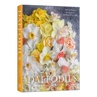 英文原版 Daffodils Beautiful Varieties for Home and Garden 黄水仙 适合家庭和花园的美丽品种 精装花卉画册 进口英语原版书籍