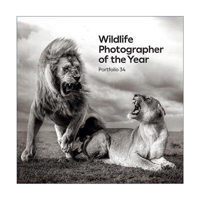 英文原版 Wildlife Photographer of the Year Portfolio 34 年度野生动物摄影师作品集 第34卷 精装 英文版 进口英语原版书籍