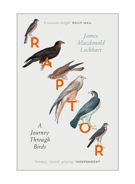 英文原版 Raptor 英国猛禽观察之旅 James Macdonald Lockhart自然写作 英文版 进口英语原版书籍