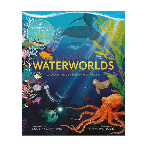英文原版 Waterworlds 水下世界 儿童精美插图科普百科读物精装 安娜?克莱伯恩 Anna Claybourne 英文版 进口英语原版书籍