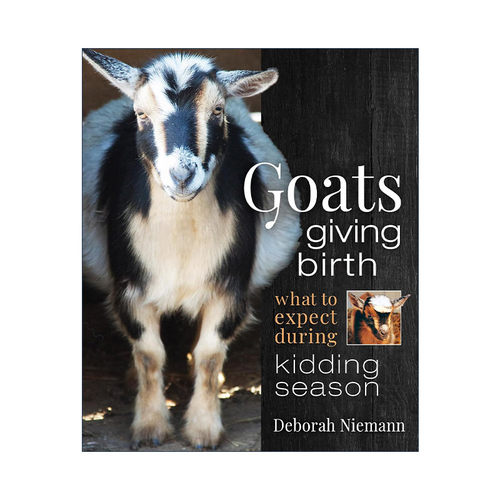 英文原版 Goats Giving Birth 山羊分娩指南 山羊助产士的故事与反思 Deborah Niemann 英文版 进口英语原版书籍