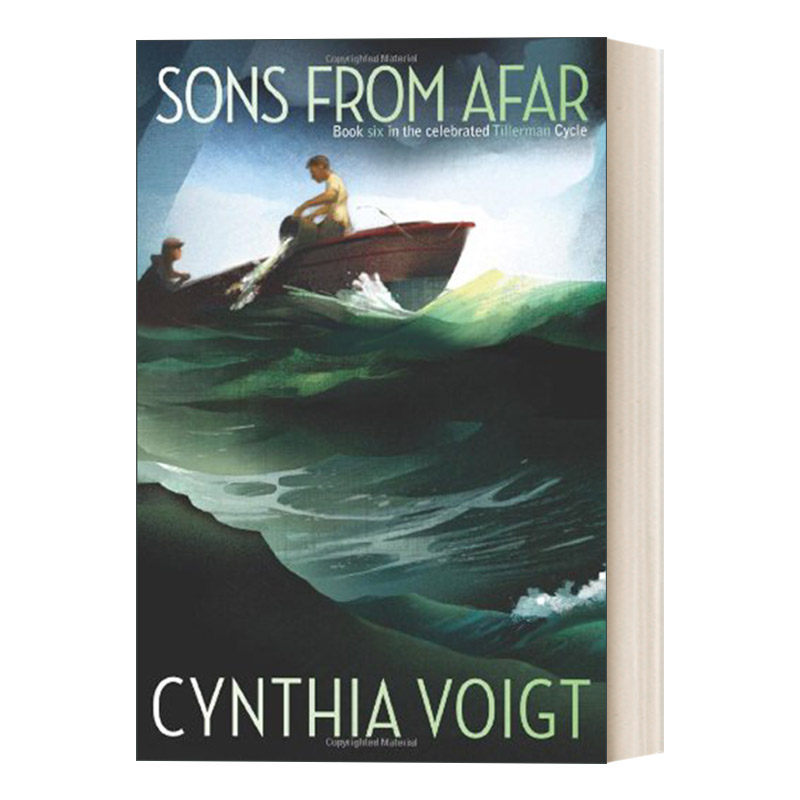 英文原版 sons from afar 提勒曼家的孤儿6 英文版 进口英语原版书籍