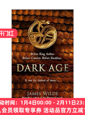 英文原版 Dark Age 黑暗纪元三部曲2 James Wilde奇幻小说 英文版 进口英语原版书籍