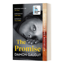 英文原版小说 The Promise 承诺 2021布克奖获奖作品 平装 英文版 进口英语原版书籍