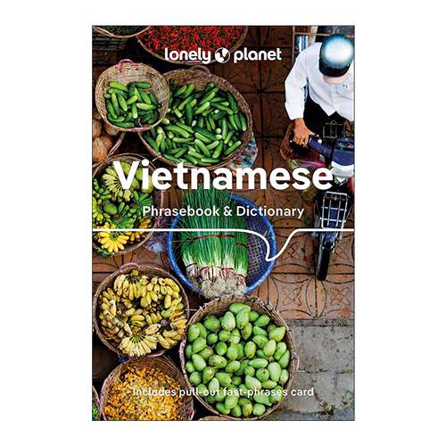 英文原版 Lonely Planet Vietnamese Phrasebook and Dictionary 孤独星球越南语常用语手册及词典 第9版 英文版进口英语原版书籍