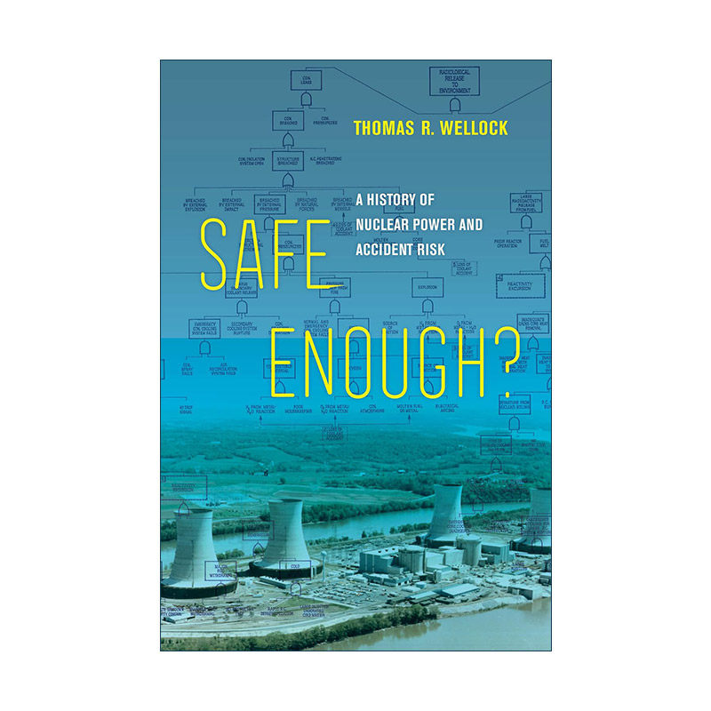 英文原版 Safe Enough 够安全吗 核电和事故风险的历史 Thomas R. Wellock 精装 英文版 进口英语原版书籍