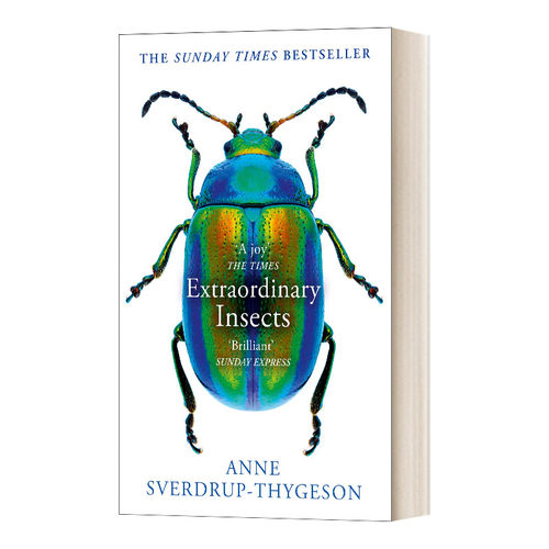 英文原版 Extraordinary Insects 非凡的昆虫 英文版 进口英语原版书籍