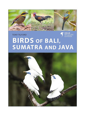 英文原版 Birds of Bali Sumatra and Java 巴厘岛 苏门答腊岛 爪哇岛 鸟类图鉴 英文版 进口英语原版书籍