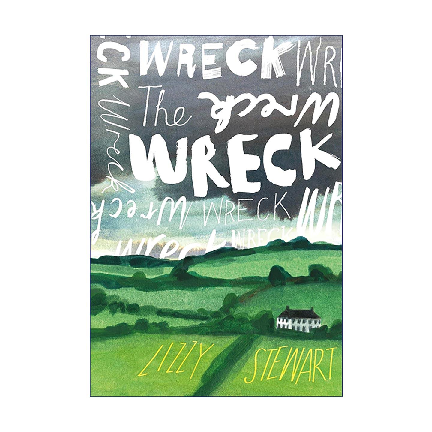 英文原版 The Wreck 崩溃 精装插画文学小说 女性小说 Lizzy Stewart 英文版 进口英语原版书籍