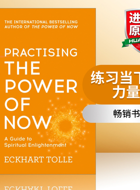 英文原版 Practising The Power Of Now 练习当下的力量 英文版 进口英语原版书籍