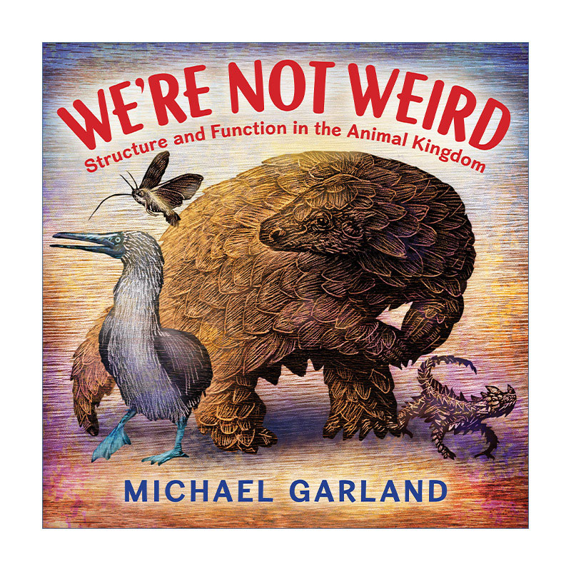 我们并不奇怪 英文原版 We're Not Weird 动物王国的结构和功能 自然界奇特生物 儿童启蒙科普百科精装绘本 Michael Garland英文版