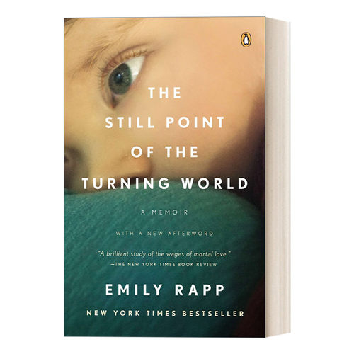旋转的世界的静点 英文原版 The Still Point of the Turning World 电影和摄影之间 Emily Rapp Black 英文版 进口英语原版书籍