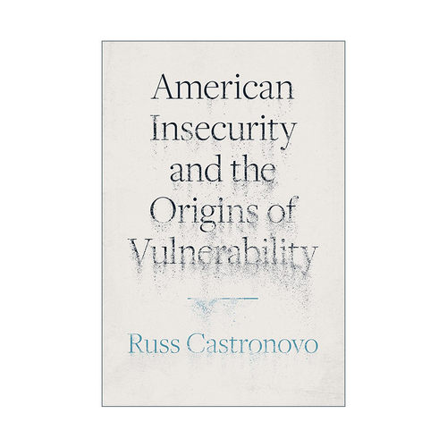 英文原版 American Insecurity and the Origins of Vulnerability 美国的不安全感和脆弱性的起源 英文版 进口英语原版书籍