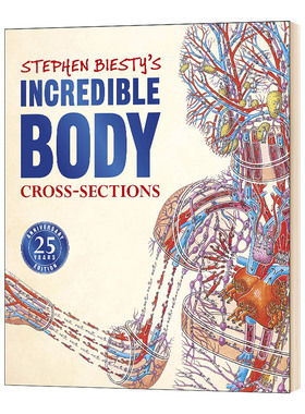 不可思议的大剖面 人体的秘密 英文原版 Stephen Biesty's Incredible Body Cross sections 25周年版 DK科普百科英文版进口英语书
