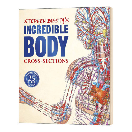 不可思议的大剖面 人体的秘密 英文原版 Stephen Biesty's Incredible Body Cross sections 25周年版 DK科普百科英文版进口英语书