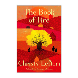 英文版 书籍 阿勒颇养蜂人作者Christy Lefteri新作 火之书 Book Fire 进口英语原版 英文原版 精装 The