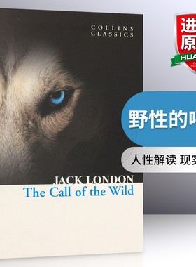 野性的呼唤 英文原版小说 The Call of the Wild 柯林斯经典文学小说书 Collins Classics 进口英语书籍 全英文版搭金银岛呼啸山庄