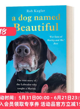 一只名叫美丽的狗 英文原版 A Dog Named Beautiful 关于动物与人的真实故事 英文版 进口英语原版书籍