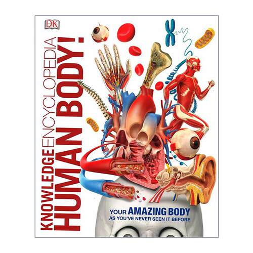 英文原版 Knowledge Encyclopedia Human Body DK知识百科全书系列 人体 精装 英文版 进口英语原版书籍