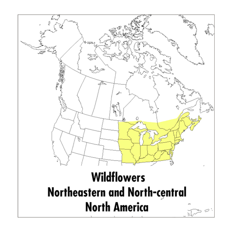 英文原版皮特森图鉴英文版