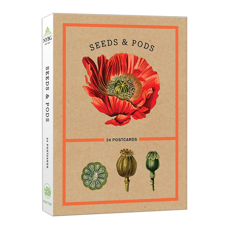 英文原版 Seeds And Pods 种子和豆荚 24张明信片 纽约植物园 花卉种子科普卡片 英文版 进口英语原版书籍